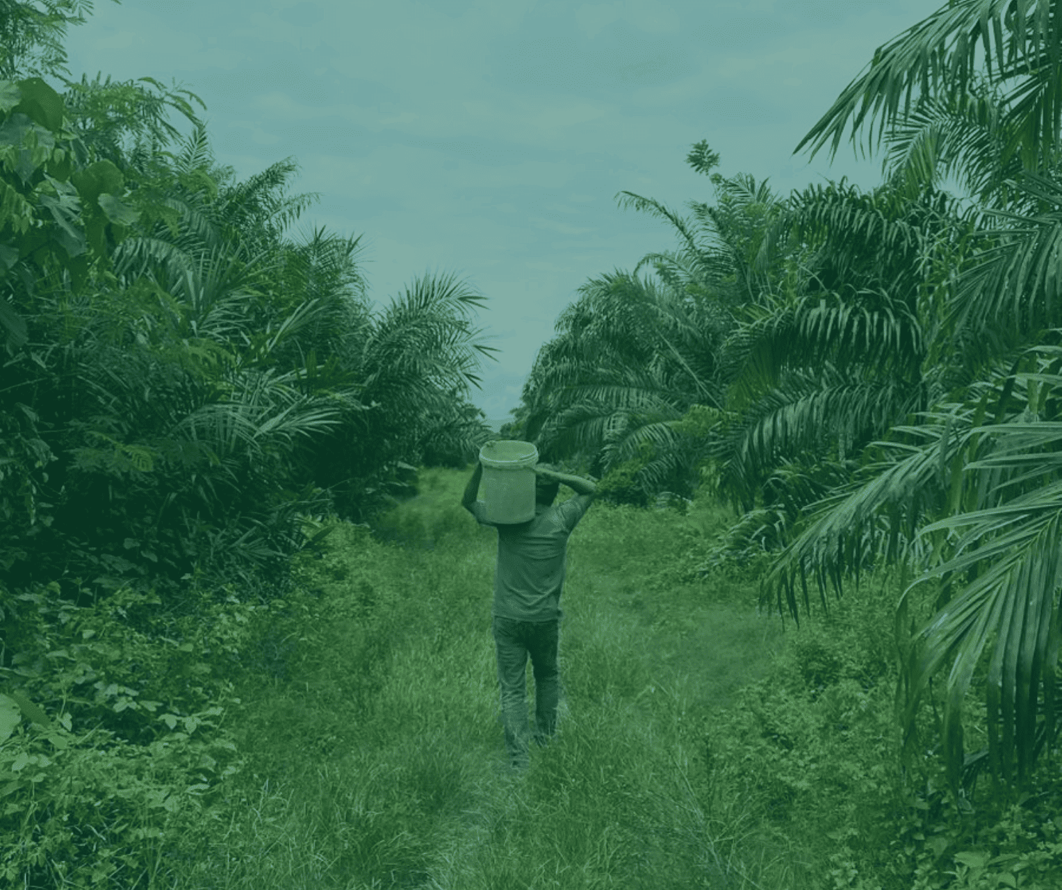 Livelihood and Community Resilience