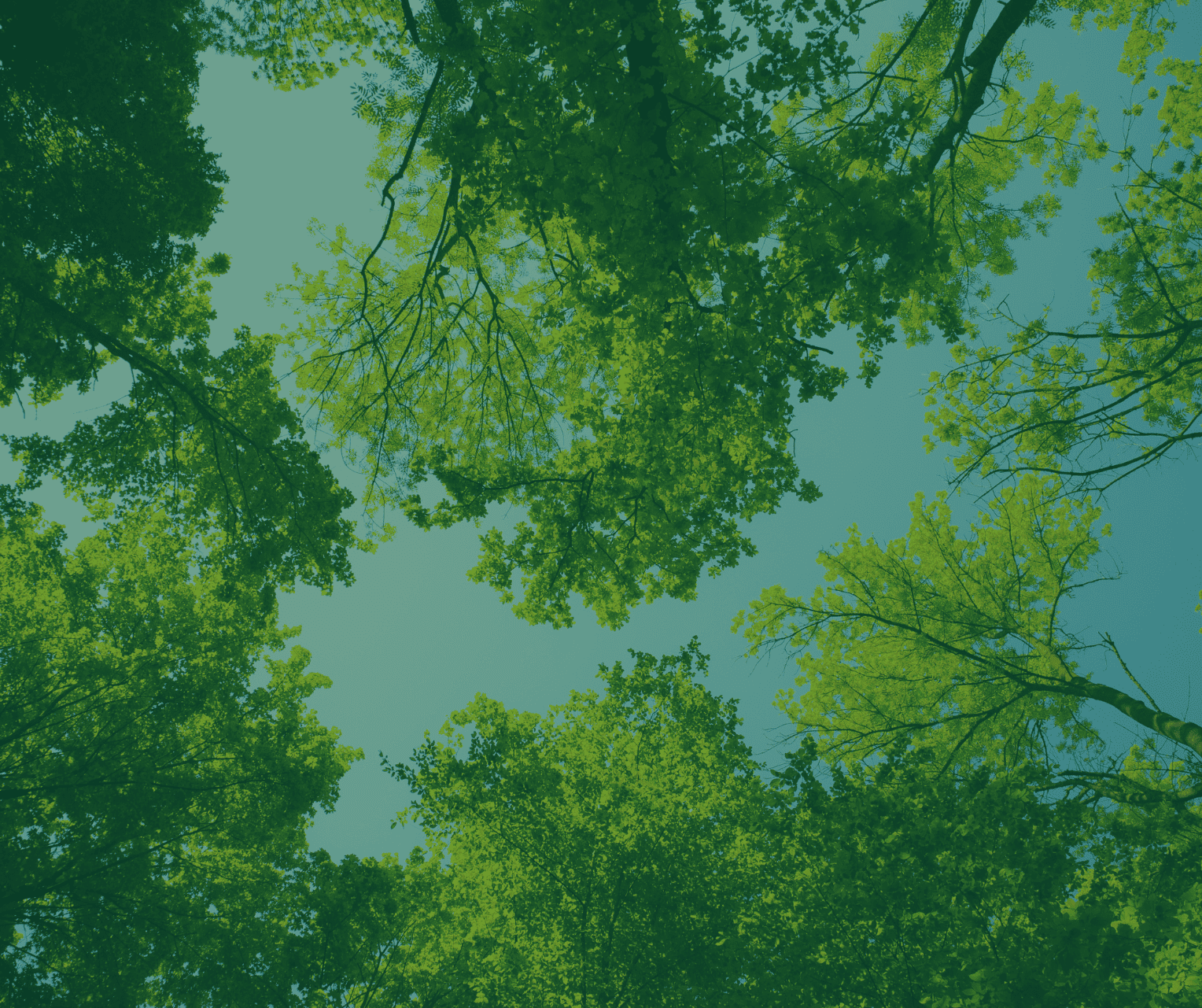 Sustainability